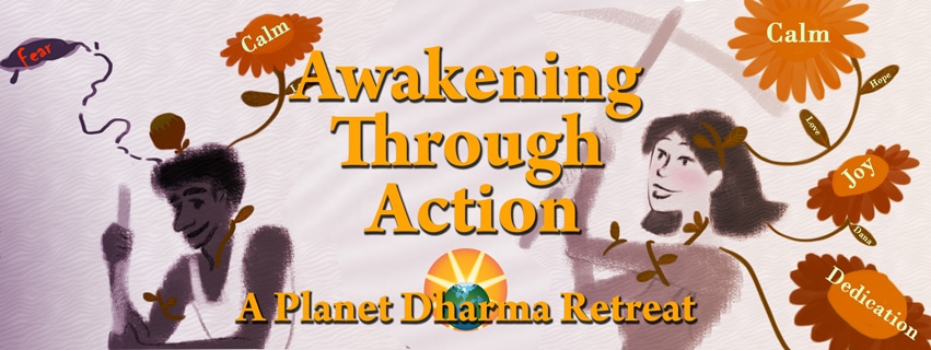 Awakening through action retreat BC