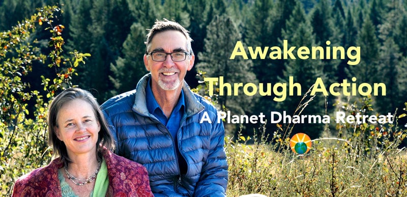 Awakening through Action Retreat