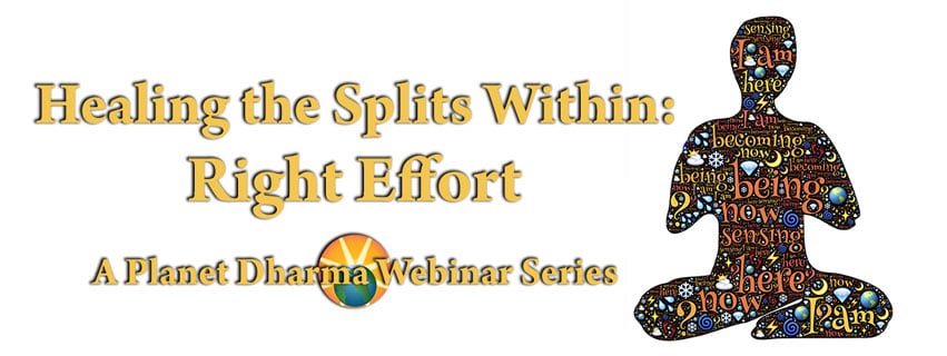 Healing the Splits Within: Right Effort (Webinar Series 3)