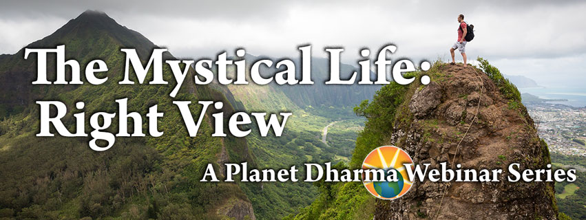 The Mystical Life webinars on right view