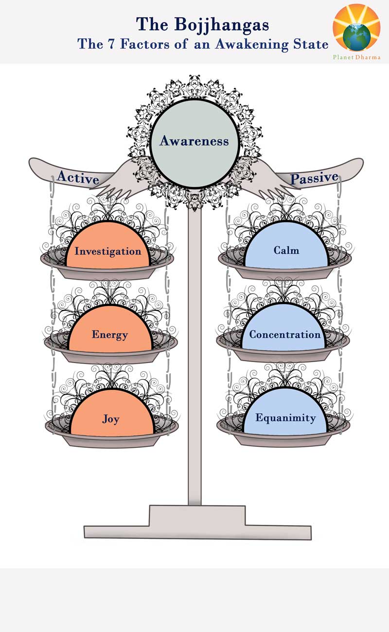 Bhojjangas: Seven Factors of Awakening