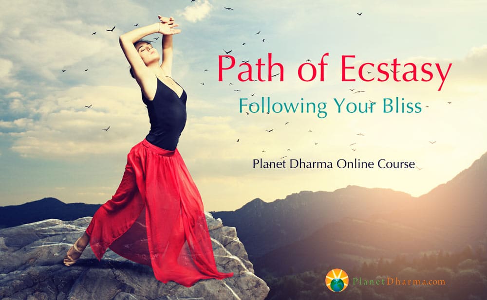 following your bliss online course