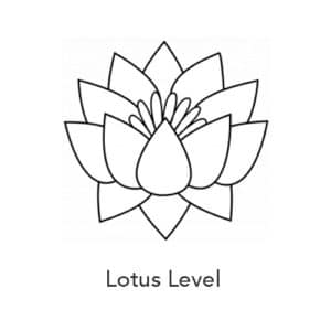 Lotus Level Year of Joy