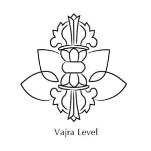 Vajra Level Year of Joy, cultivating joy