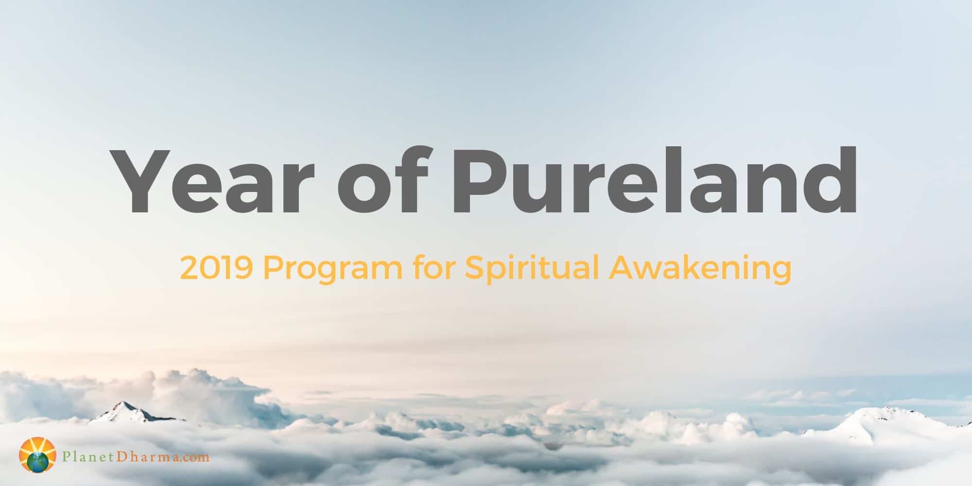 year of pureland 2019