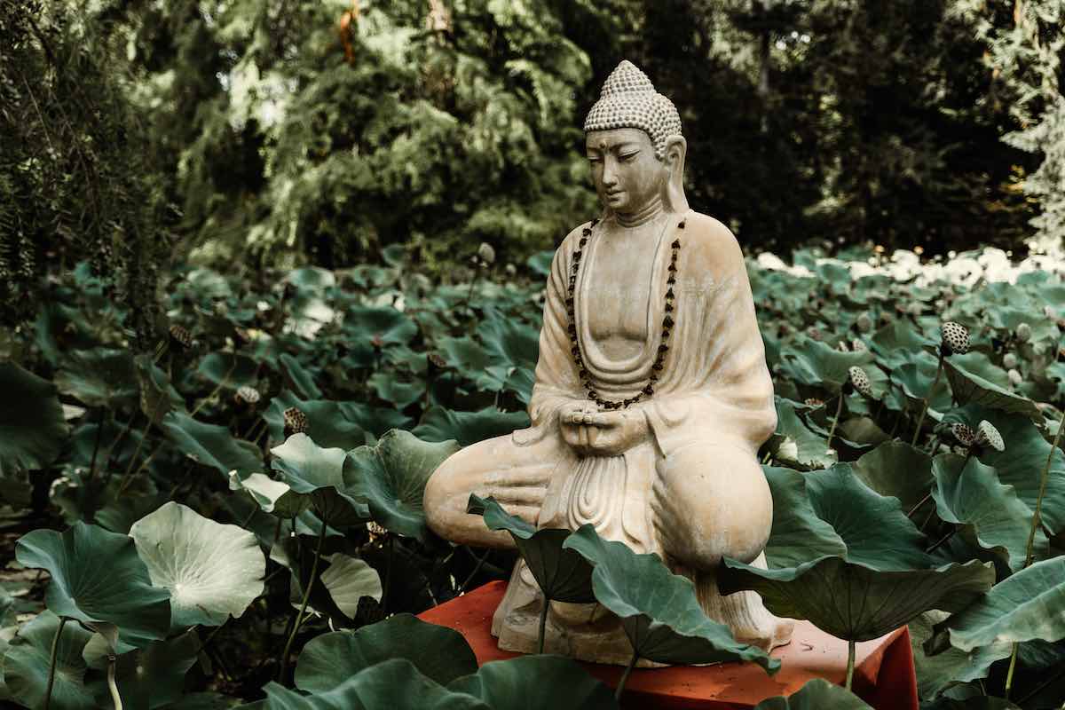 vipassana insight course