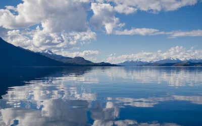 Buddha Nature: Mirror-Like Consciousness