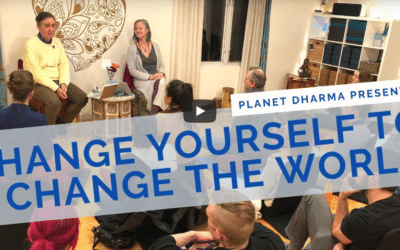 Change Yourself to Change the World: Practicing Insight Meditation