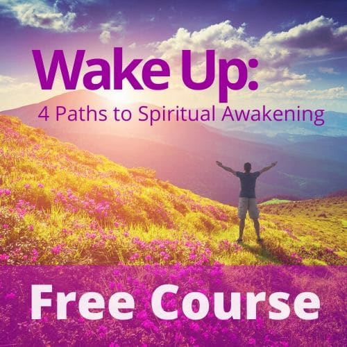 Wake Up, Online Course