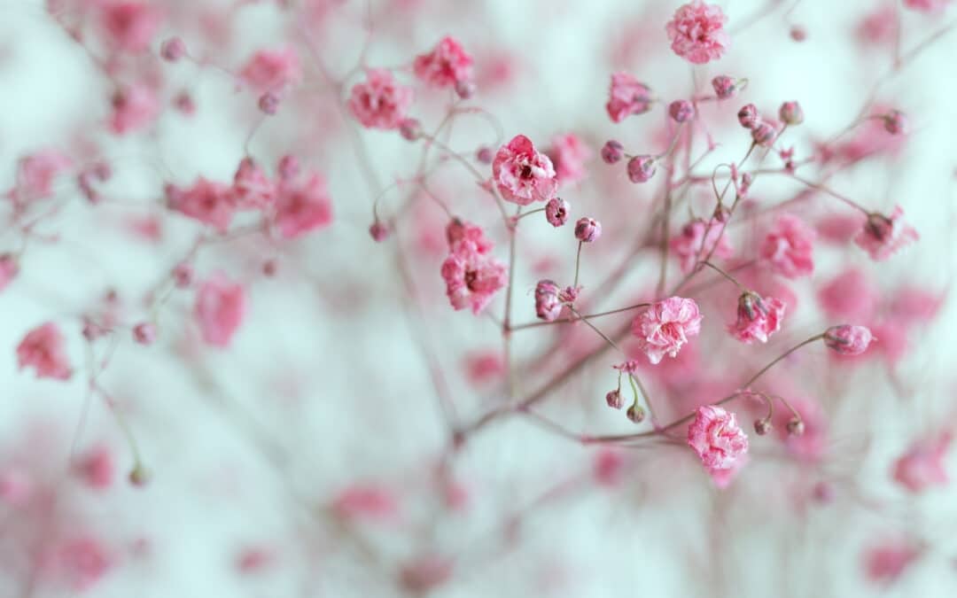 Summer Meditation Retreat: Breathing (Online)