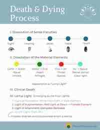 The Cycle Of Life, Death And Rebirth - Reincarnation Explained - UNIQORNER