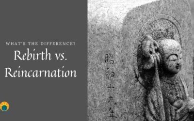 Rebirth vs Reincarnation – What’s the Difference?