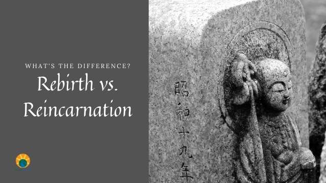 Rebirth vs Reincarnation – What’s the Difference?