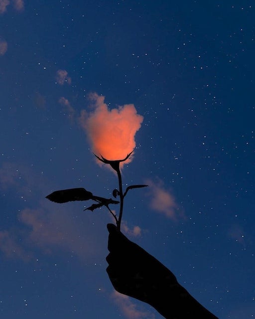 Skyrose copy Zen