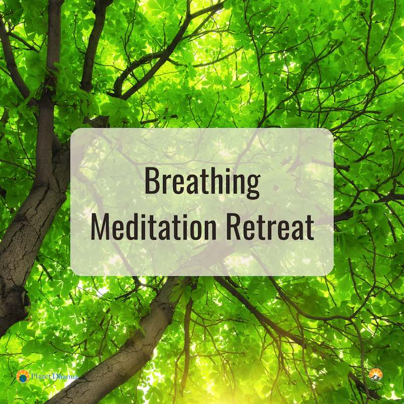 breathing meditation retreat