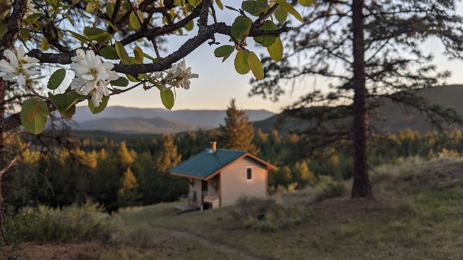 Clear Sky Cabin/nature