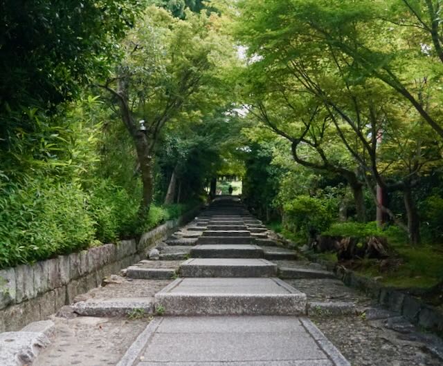 kyoto forest pathway