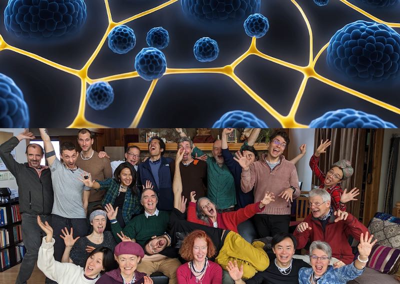 Consciousness Evolving: Human Cells in Group Guru’s Body
