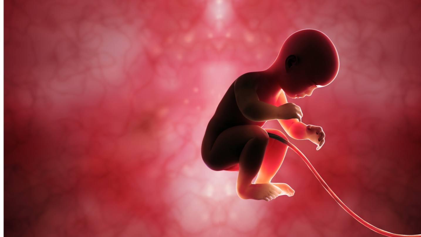 Womb, Karma Transcendence Retreat England